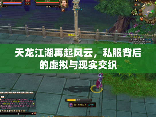 天龙江湖再起风云，私服背后的虚拟与现实交织