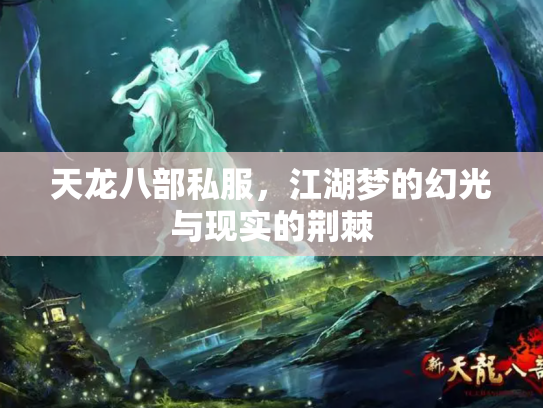 天龙八部私服，江湖梦的幻光与现实的荆棘