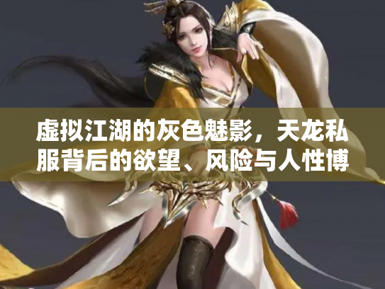 虚拟江湖的灰色魅影，天龙私服背后的欲望、风险与人性博弈