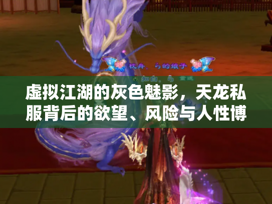 虚拟江湖的灰色魅影，天龙私服背后的欲望、风险与人性博弈