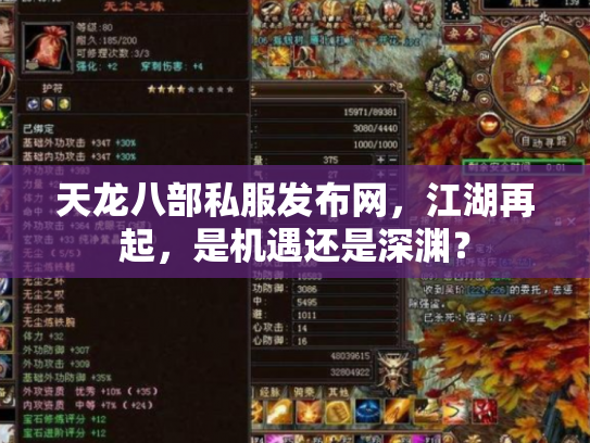 天龙八部私服发布网，江湖再起，是机遇还是深渊？