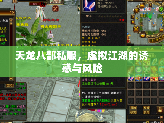 天龙八部私服，虚拟江湖的诱惑与风险