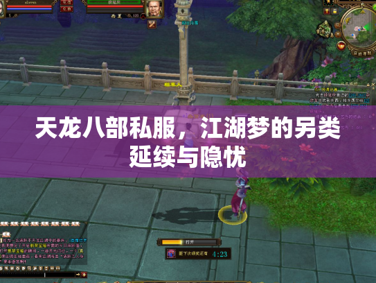 天龙八部私服，江湖梦的另类延续与隐忧