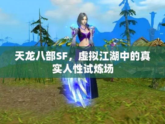 天龙八部SF，虚拟江湖中的真实人性试炼场