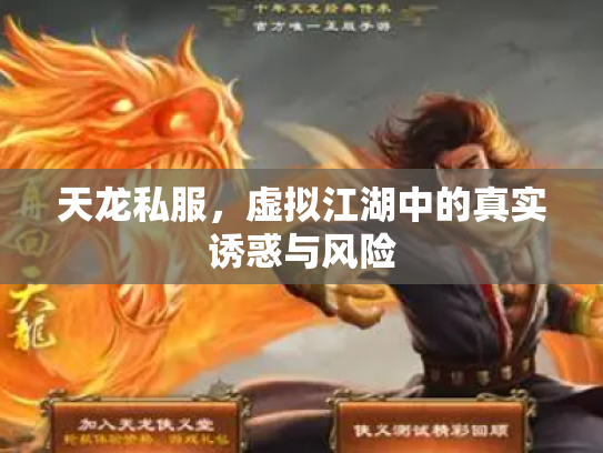 天龙私服，虚拟江湖中的真实诱惑与风险