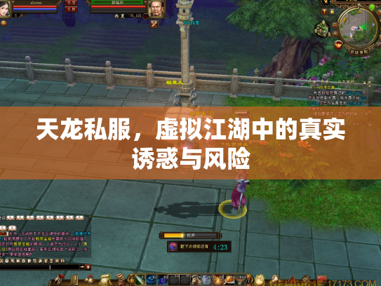 天龙私服，虚拟江湖中的真实诱惑与风险