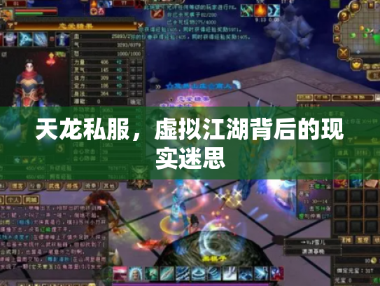 天龙私服，虚拟江湖背后的现实迷思