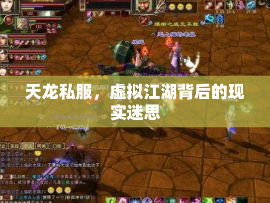 天龙私服，虚拟江湖背后的现实迷思