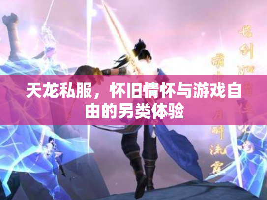 天龙私服，怀旧情怀与游戏自由的另类体验