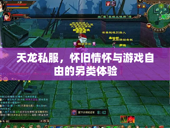 天龙私服，怀旧情怀与游戏自由的另类体验