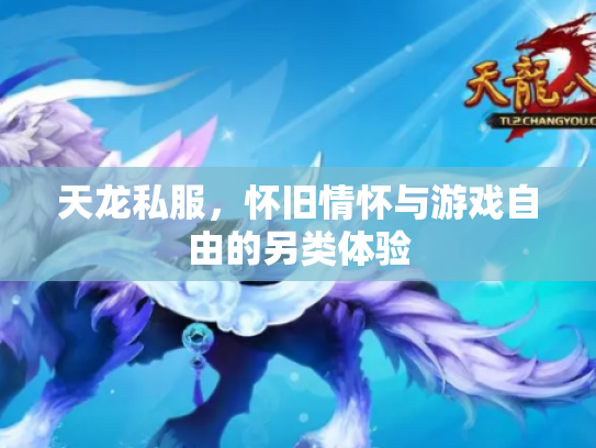天龙私服，怀旧情怀与游戏自由的另类体验