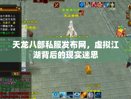 天龙八部私服发布网，虚拟江湖背后的现实迷思