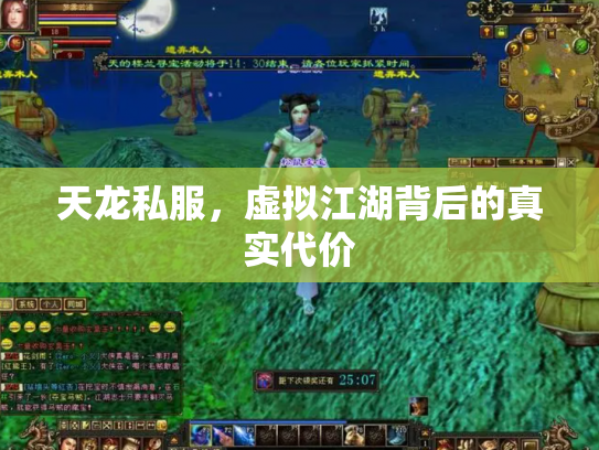 天龙私服，虚拟江湖背后的真实代价