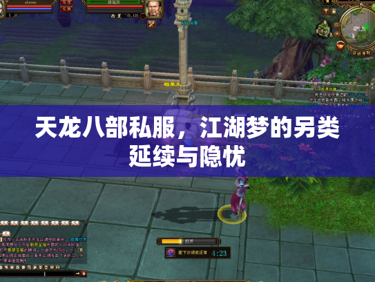 天龙八部私服，江湖梦的另类延续与隐忧