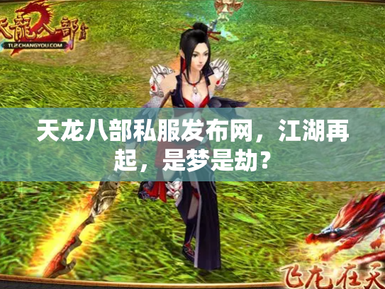 天龙八部私服发布网，江湖再起，是梦是劫？