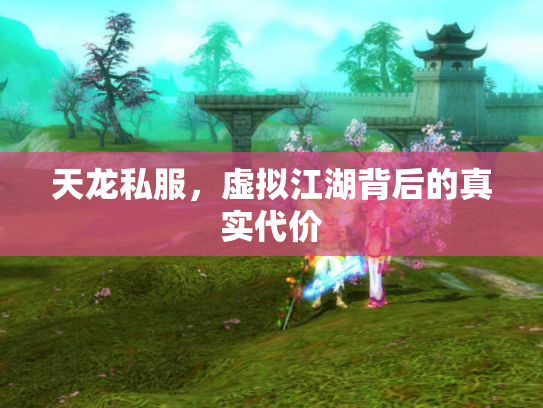 天龙私服，虚拟江湖背后的真实代价