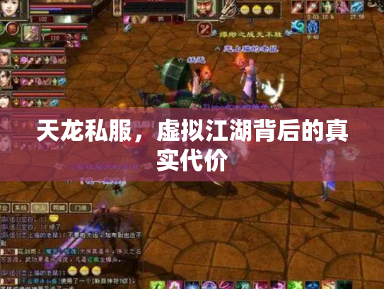 天龙私服，虚拟江湖背后的真实代价