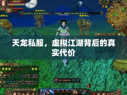 天龙私服，虚拟江湖背后的真实代价