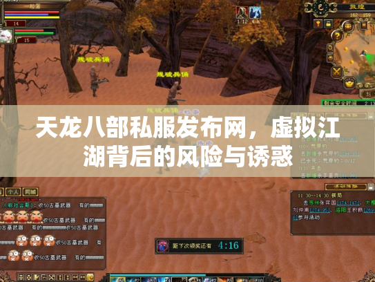 天龙八部私服发布网，虚拟江湖背后的风险与诱惑