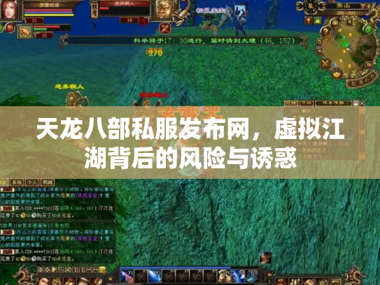 天龙八部私服发布网，虚拟江湖背后的风险与诱惑