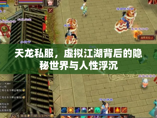 天龙私服，虚拟江湖背后的隐秘世界与人性浮沉