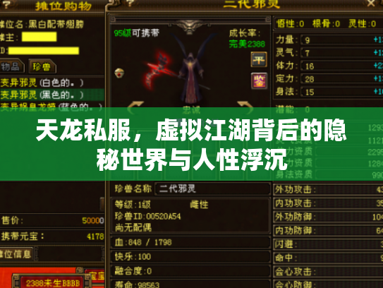 天龙私服，虚拟江湖背后的隐秘世界与人性浮沉