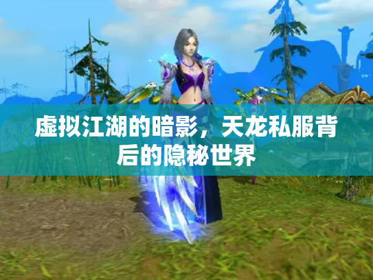 虚拟江湖的暗影，天龙私服背后的隐秘世界