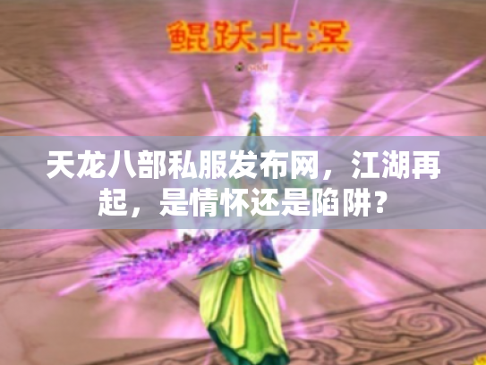 天龙八部私服发布网，江湖再起，是情怀还是陷阱？