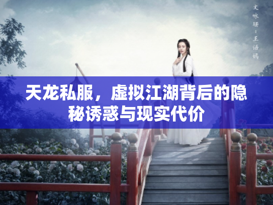 天龙私服，虚拟江湖背后的隐秘诱惑与现实代价