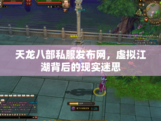 天龙八部私服发布网，虚拟江湖背后的现实迷思