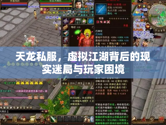 天龙私服，虚拟江湖背后的现实迷局与玩家困境