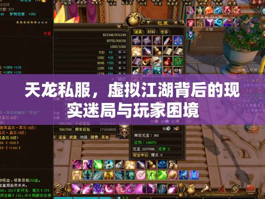 天龙私服，虚拟江湖背后的现实迷局与玩家困境