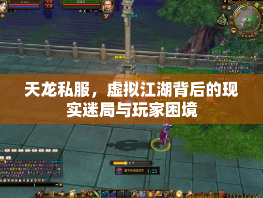 天龙私服，虚拟江湖背后的现实迷局与玩家困境
