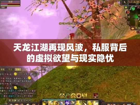 天龙江湖再现风波，私服背后的虚拟欲望与现实隐忧
