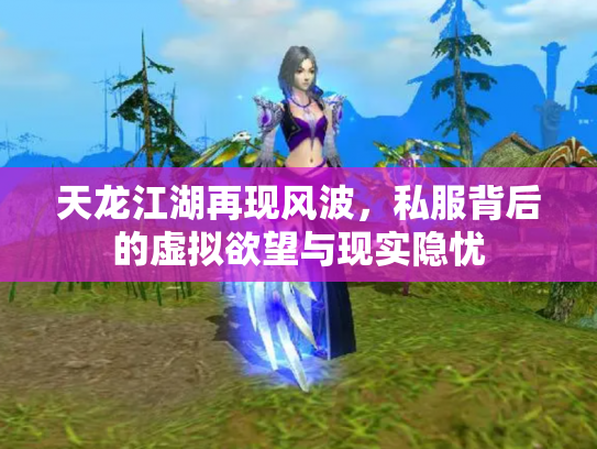 天龙江湖再现风波，私服背后的虚拟欲望与现实隐忧