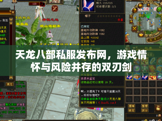 天龙八部私服发布网，游戏情怀与风险并存的双刃剑