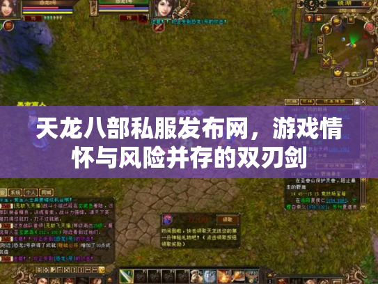 天龙八部私服发布网，游戏情怀与风险并存的双刃剑