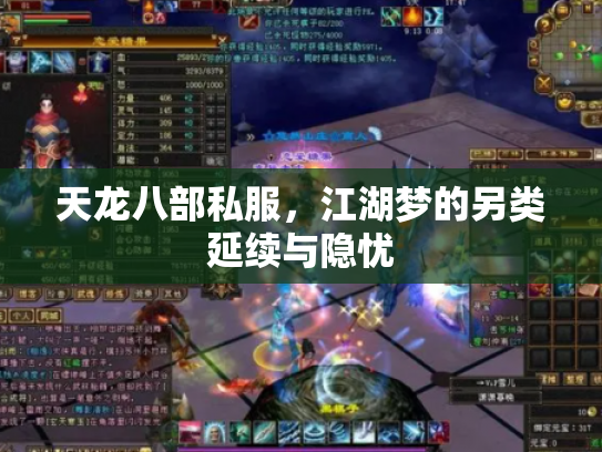 天龙八部私服，江湖梦的另类延续与隐忧