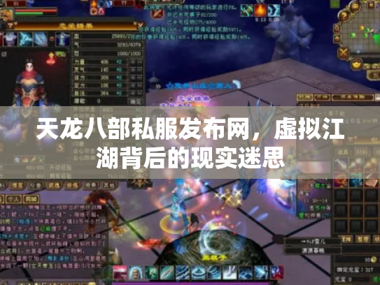 天龙八部私服发布网，虚拟江湖背后的现实迷思