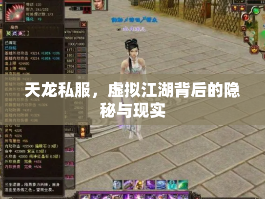 天龙私服，虚拟江湖背后的隐秘与现实