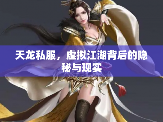 天龙私服，虚拟江湖背后的隐秘与现实