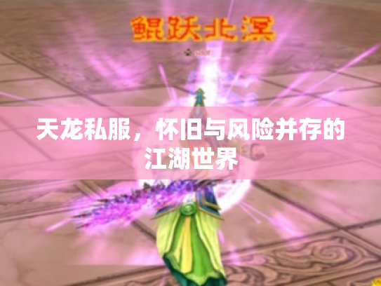 天龙私服，怀旧与风险并存的江湖世界