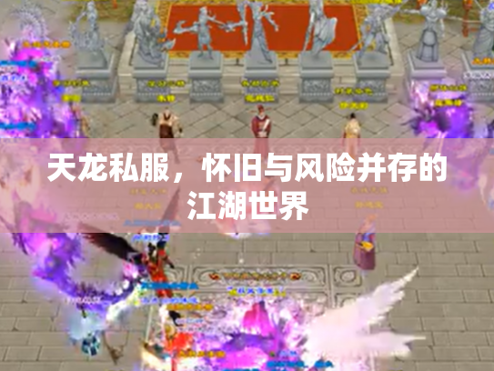 天龙私服，怀旧与风险并存的江湖世界