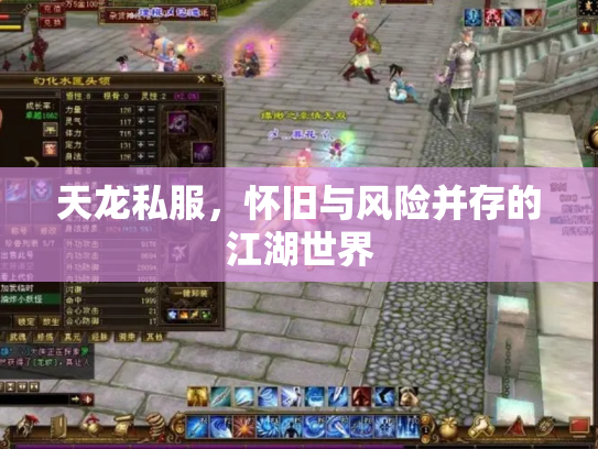 天龙私服，怀旧与风险并存的江湖世界