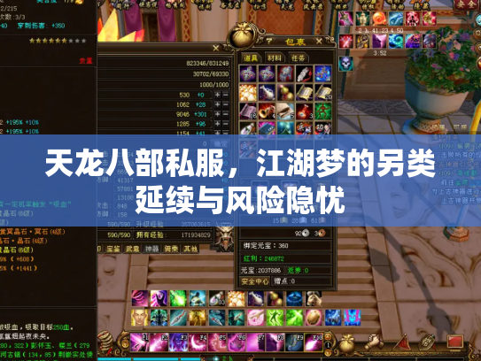 天龙八部私服，江湖梦的另类延续与风险隐忧