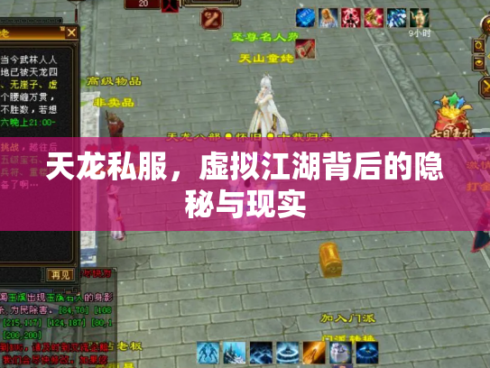天龙私服，虚拟江湖背后的隐秘与现实