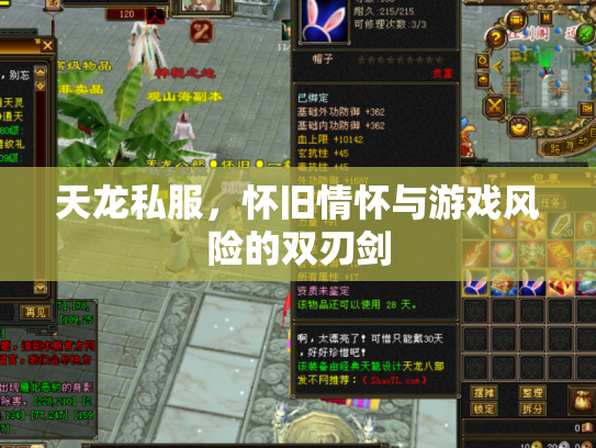 天龙私服，怀旧情怀与游戏风险的双刃剑