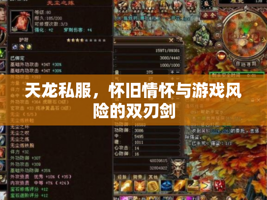天龙私服，怀旧情怀与游戏风险的双刃剑