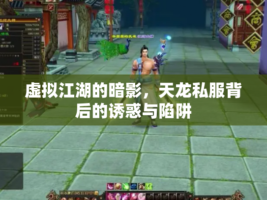 虚拟江湖的暗影，天龙私服背后的诱惑与陷阱
