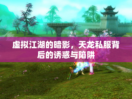 虚拟江湖的暗影，天龙私服背后的诱惑与陷阱